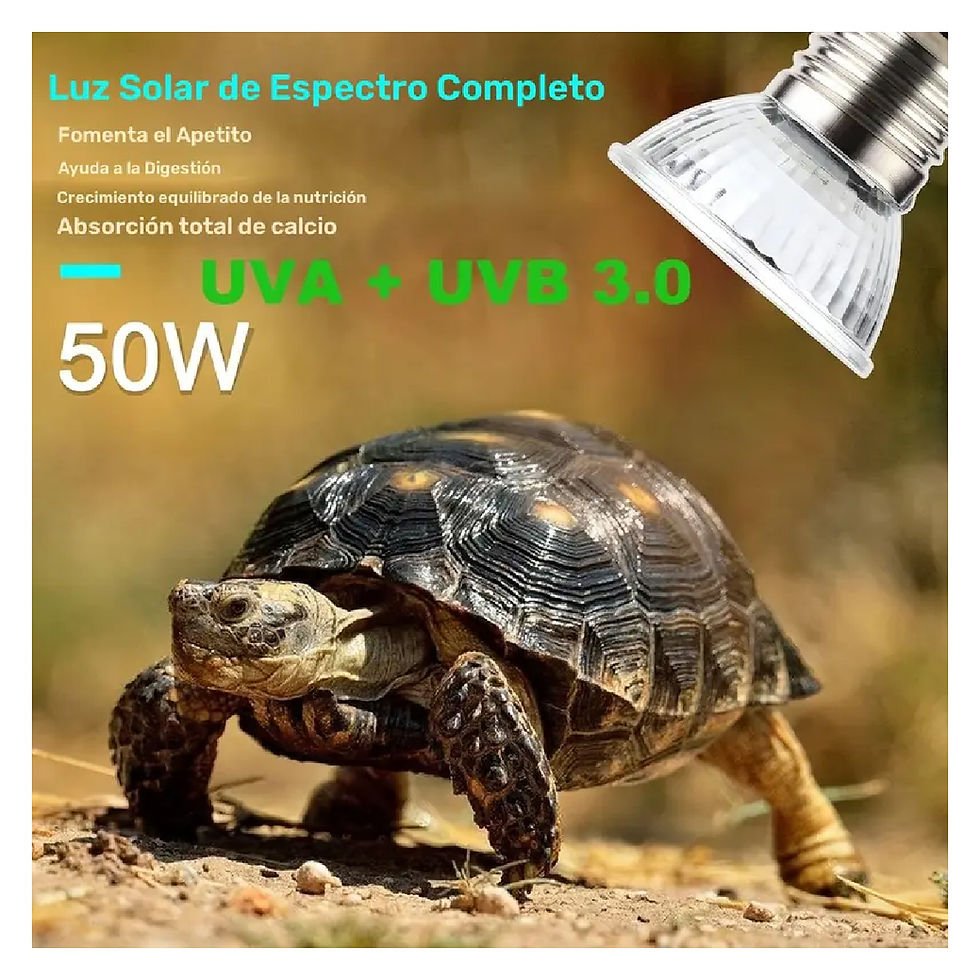 Miniatura: Nomoypet Foco Pequeño UVB 3.0 Halógeno