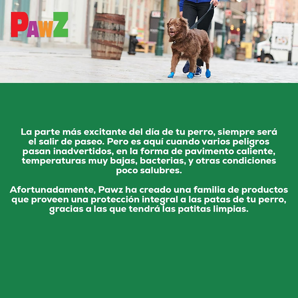 Miniatura: PawZ Rubber Dog Boots Tiny Camo x 12 unidades