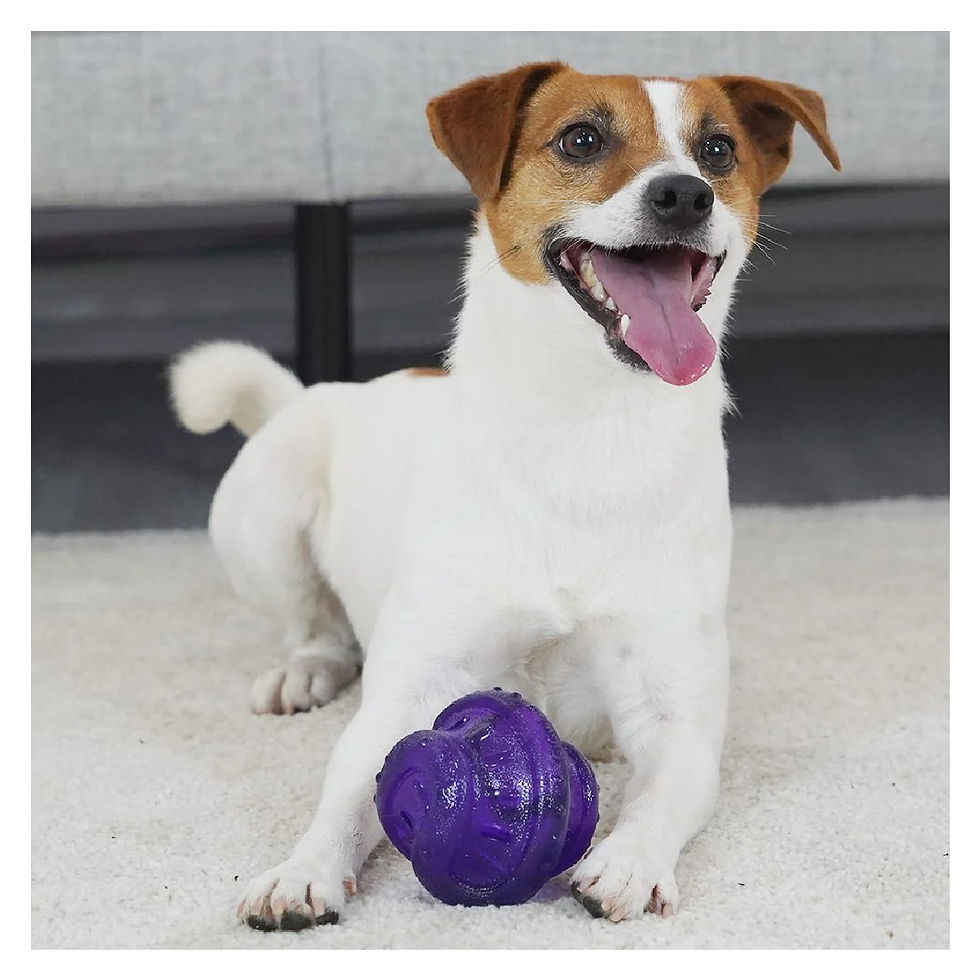 Miniatura: Gigwi Rolling Bell Ball