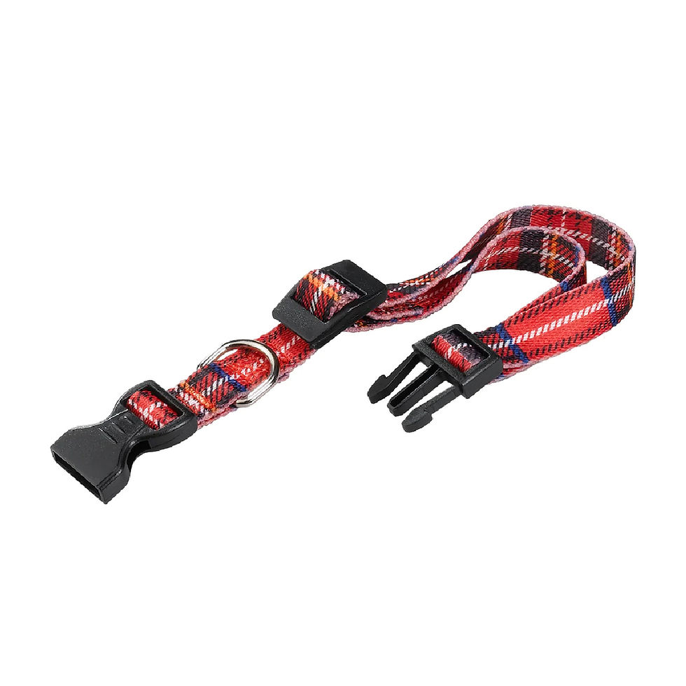 Ferplast Club C20/56