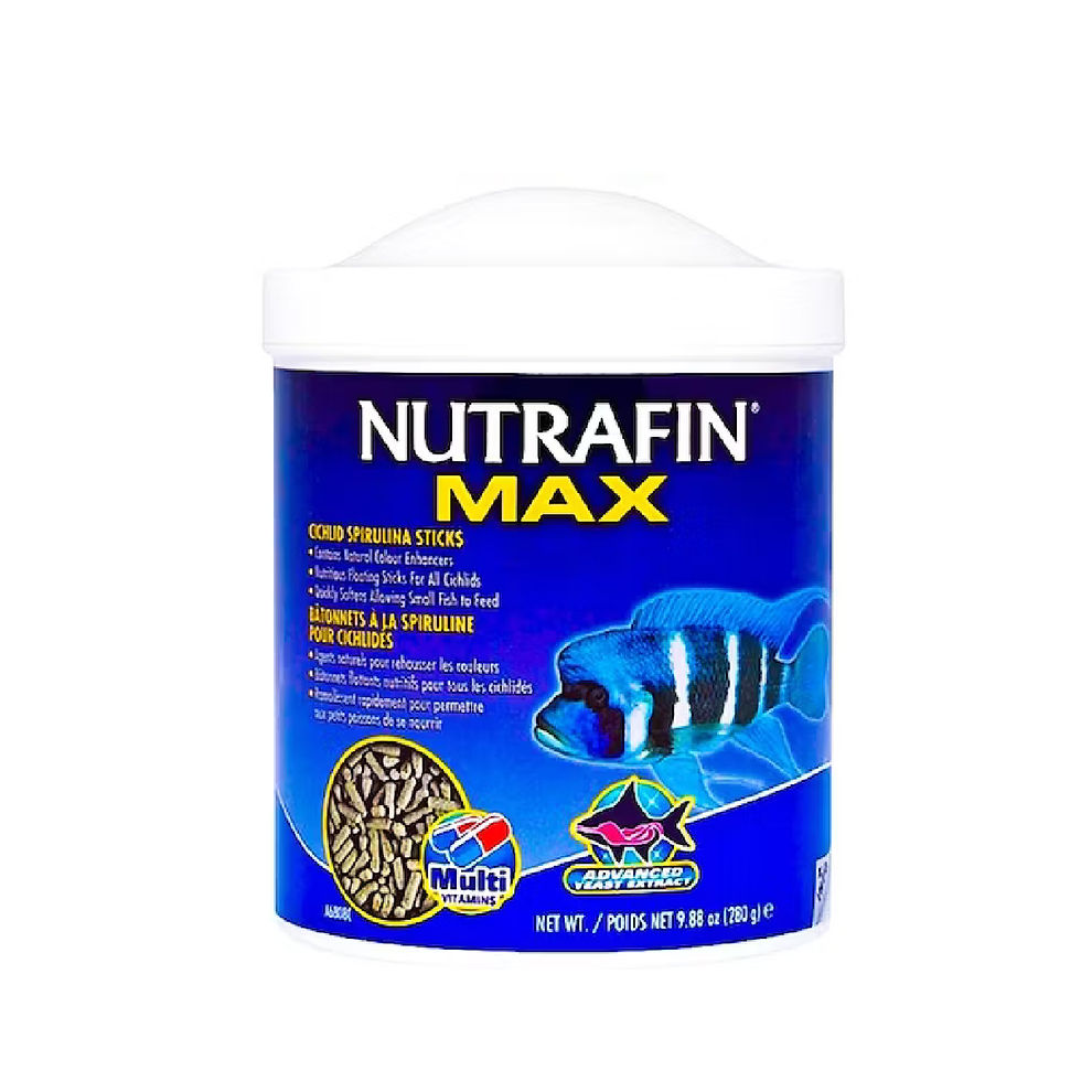 Miniatura: Nutrafin Max Bastones de Espirulina para Ciclidos