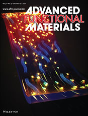 adfm.v30.52.cover.jpg