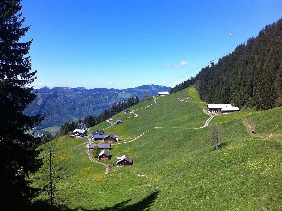 Panoramabauer - Sonderdach
