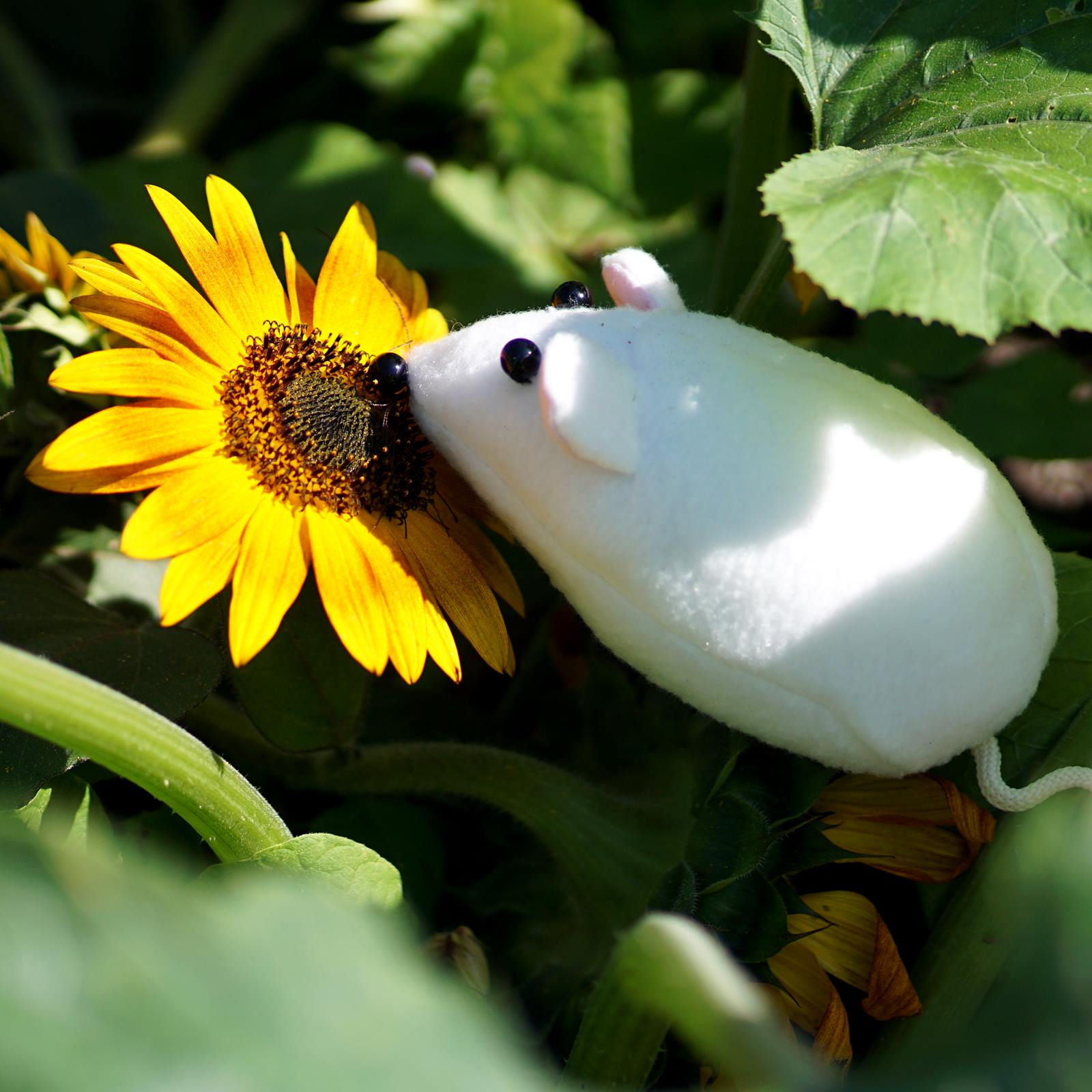 E-Book - Maus Leopold in 4 Gr. nähen Kuscheltier