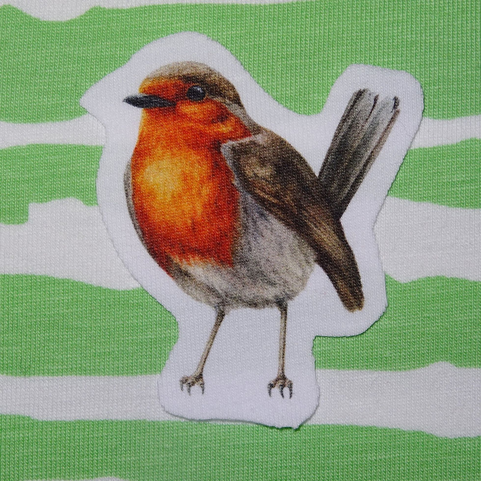 Miniaturbild: Aufbügler - Vögel  aus Jersey EP Applikation