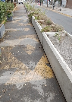 calle barrio bellavista.jpeg