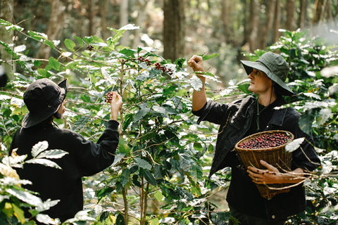 AMATERA