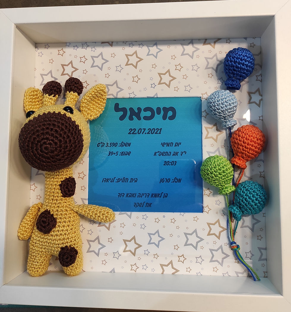 תמונה ממוזערת: תעודת לידה