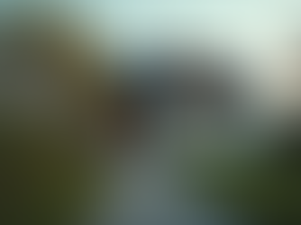 Understanding the Importance of a Home Inspection