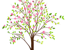 In the Spring