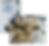 PA_ESTA (1) (1).png
