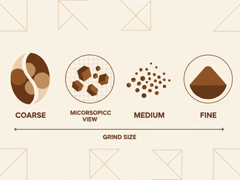 Grind Size Mastery: Matching Your Grind to Your Brew Method