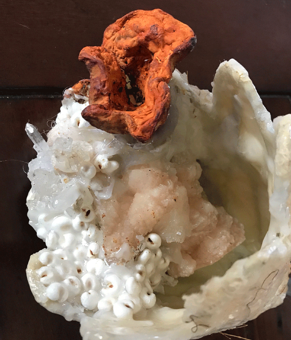 Specimen 4