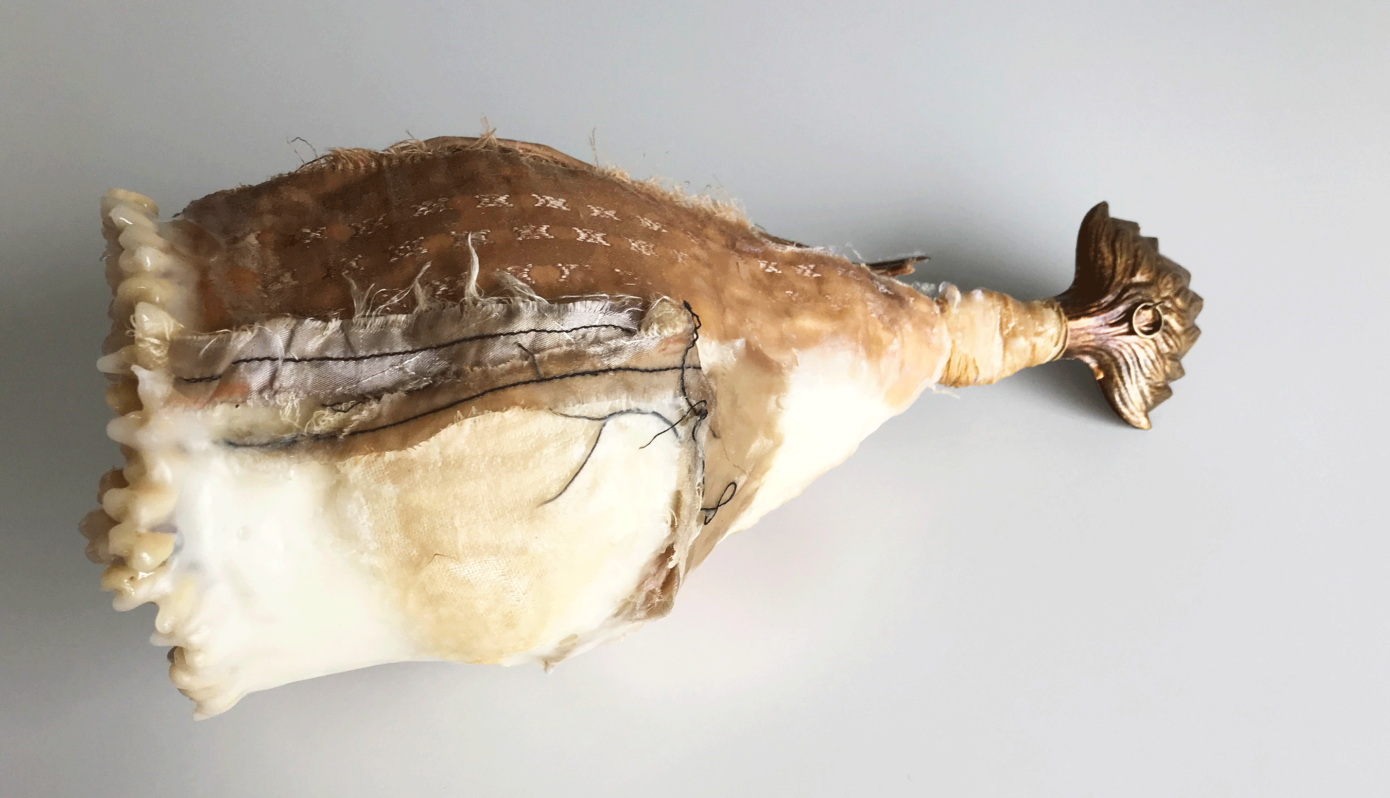 Specimen 2