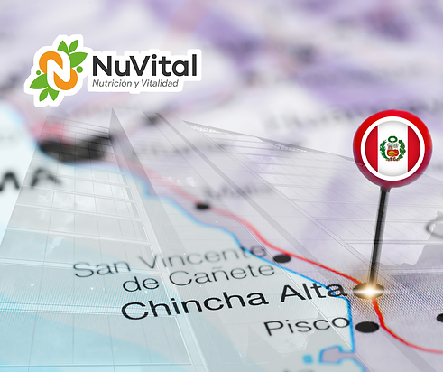 Identidad (19).png