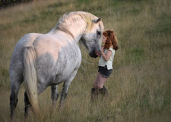 Lagalgarve Nguarhoe Highland Pony Mare
