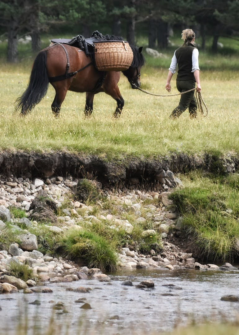 Thumbnail: £20 bundle | 2025 Charity Calendar & Balmoral Greetings Cards (4 pack)