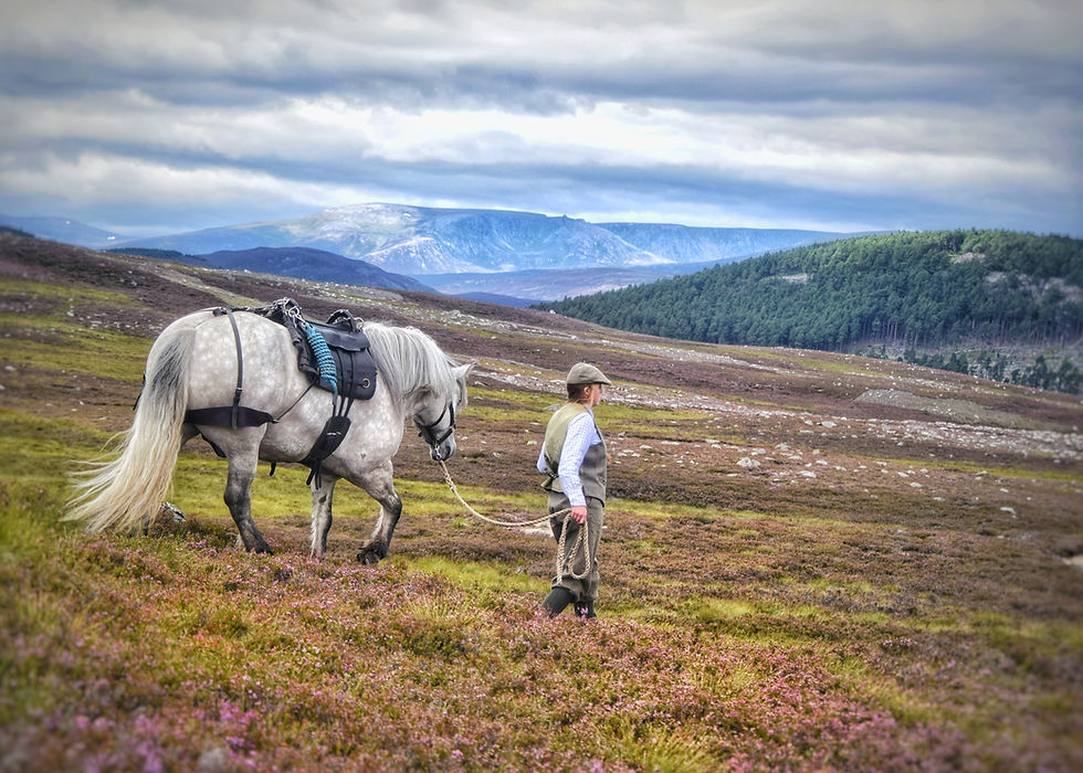 Thumbnail: £10 Value Pack | Balmoral Greeting Cards | 8 pack - 1 of each design