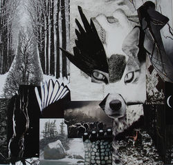 Stories of the night