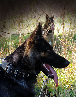 DSCN1419.JPG