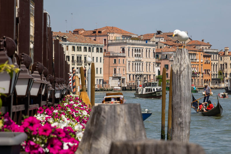 Venice. The cruise ends with a full day in Venice, with the ship acting as your hotel room while you explore and experience.