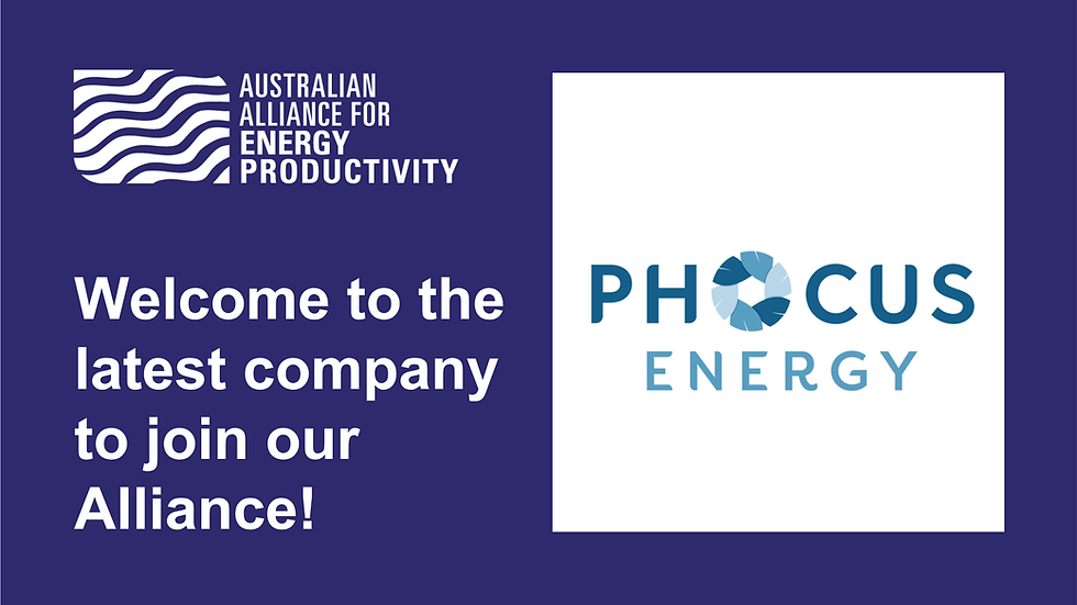 Meet the newest Members of our Alliance