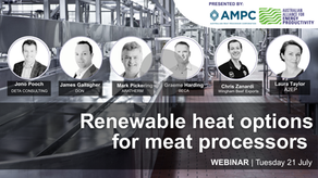 RECORDING | 21 July: Renewable heat options for meat processors