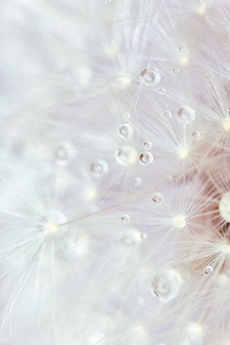 Natural healing, Reno NV, Wellness By Design