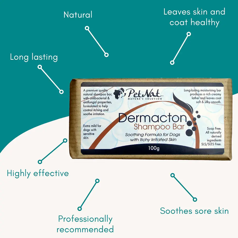 Thumbnail: Dermacton Shampoo Bar for Itchy Dogs