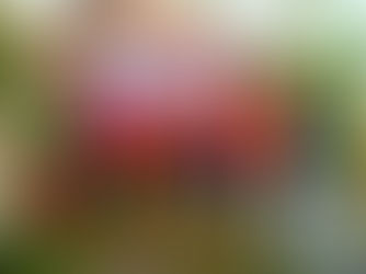 DANA MUSTADHAFIN HADIR UNTUK KORBAN BANJIR DI DESA TEGALANGUS