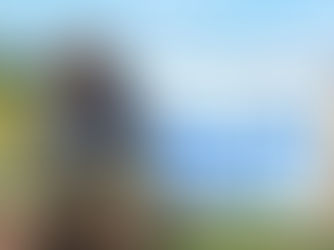 ONION FARMERS’ BIG SMILES AS THEY WELCOME THE HARVEST