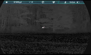 0825BCDB-29AD-4B0C-8FF4-9F592C8F9513_1_201_a.jpeg