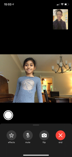 IMG_3219.PNG