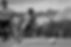 VE101041_edited.jpg