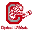 logo-cipriani.png