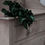 Thumbnail: Victorian Antique Pine Chest of Drawers