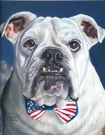 EvArt Studio, Soft Pastel Painting, dog portrait, pet portrait, fine art, boxer dog, pug, dog with bow tie, white dog