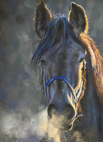 EvArt Studio, Soft Pastel Painting, horse portrait, pet portrait, black horse, moring sun, steaming breath