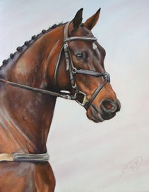EvArt Studio, Soft Pastel Painting, horse portrait, pet portrait, eventing horse, competing, horse show, horse running