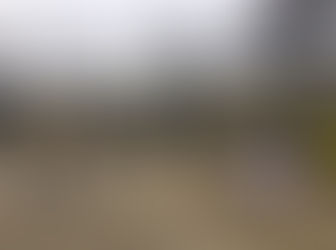 集まれ!なでしっこ!!!