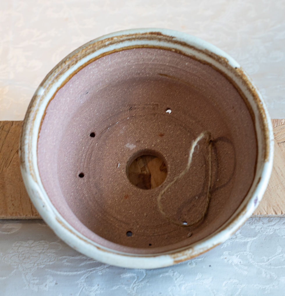 Thumbnail: RD 614 Pot bonsaï rond Dimensions exterieures: D 14 cm H 6 cm