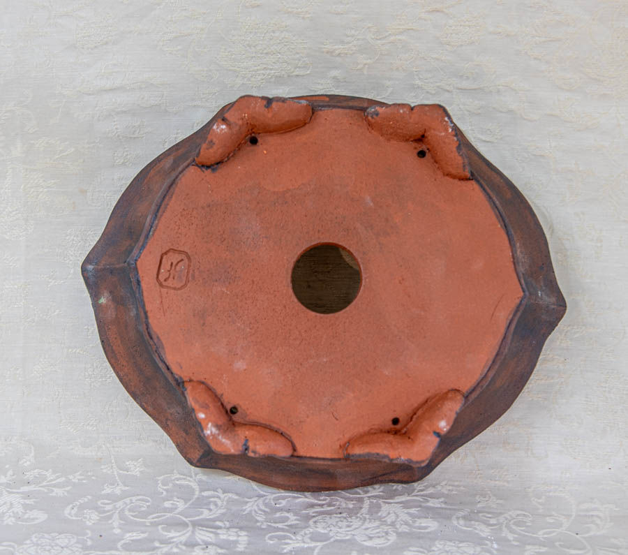 Miniature : Pot bonsaï ovale OV 867  Dimensions exterieures: L27 X l 23 h 8cm