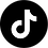 WEBSITE IMAGE - TIKTOK.png