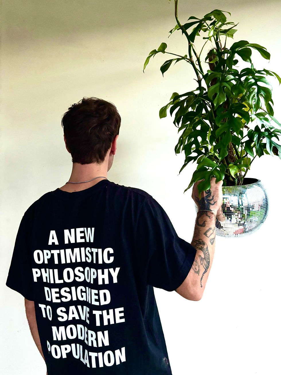 Thumbnail: Monstera Raphidophora Tetrasperma+ discobalpanter