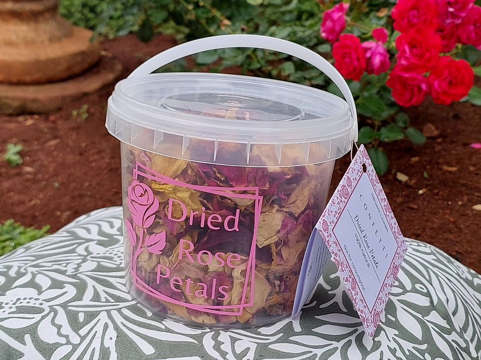A plastic bucket filled with dried rose petals sits elegantly on a patterned pillow in a vibrant rose garden, surrounded by blooming red roses.