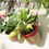 Thumbnail: Hanging Planter- Rust & Natural (Medium)
