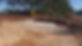 20170505_085943.jpg