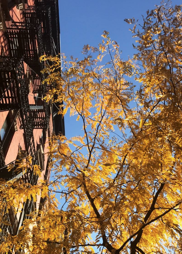 Fall on Ludlow Street