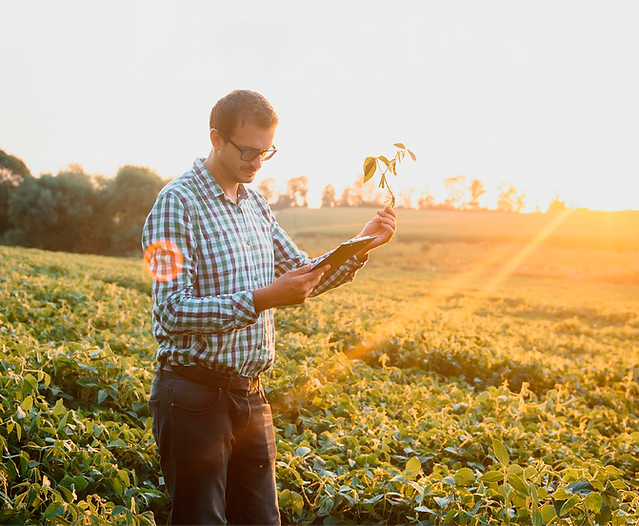 Técnico Superior en Producción Agropecuaria y Forestal