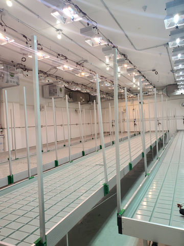 Special Blend Gardens Cultivation Center 